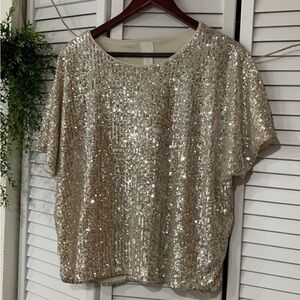 H & M Sequin Top M